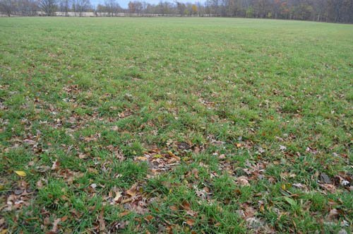 Property photo 25 - 80 Acres & Home - Property Offered in 4 Tracts from 2.3 to 30.0 Acres
